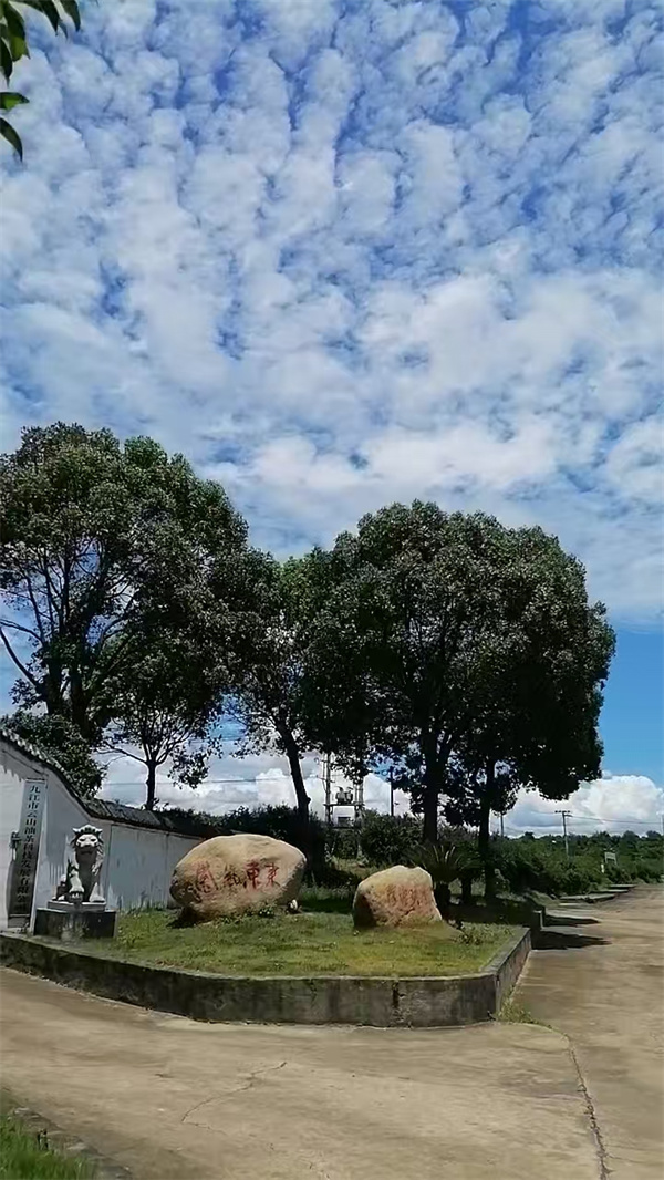 微信圖片_2025-08-15_140535_057.jpg